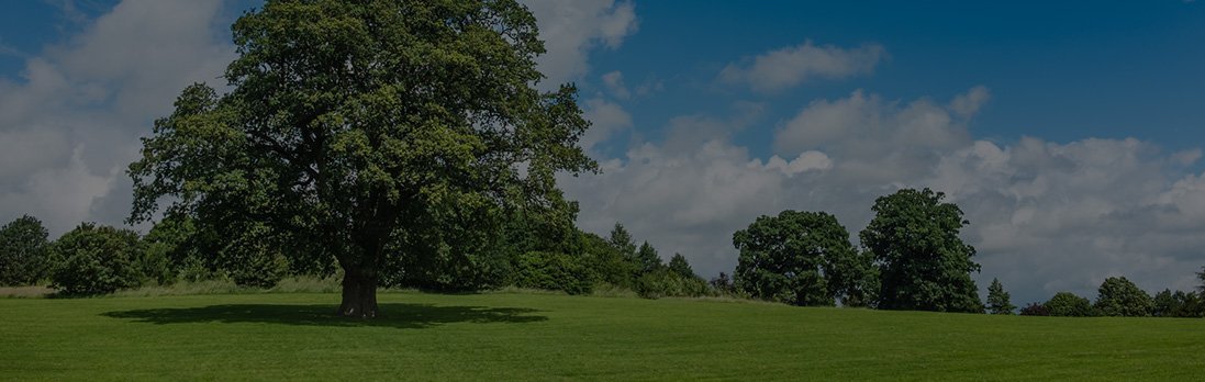 Image of a bucolic setting with a large oak tree in the foreground.