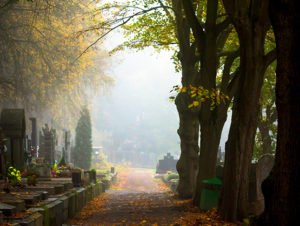 Image of a cemetery on a foggy autumn day.